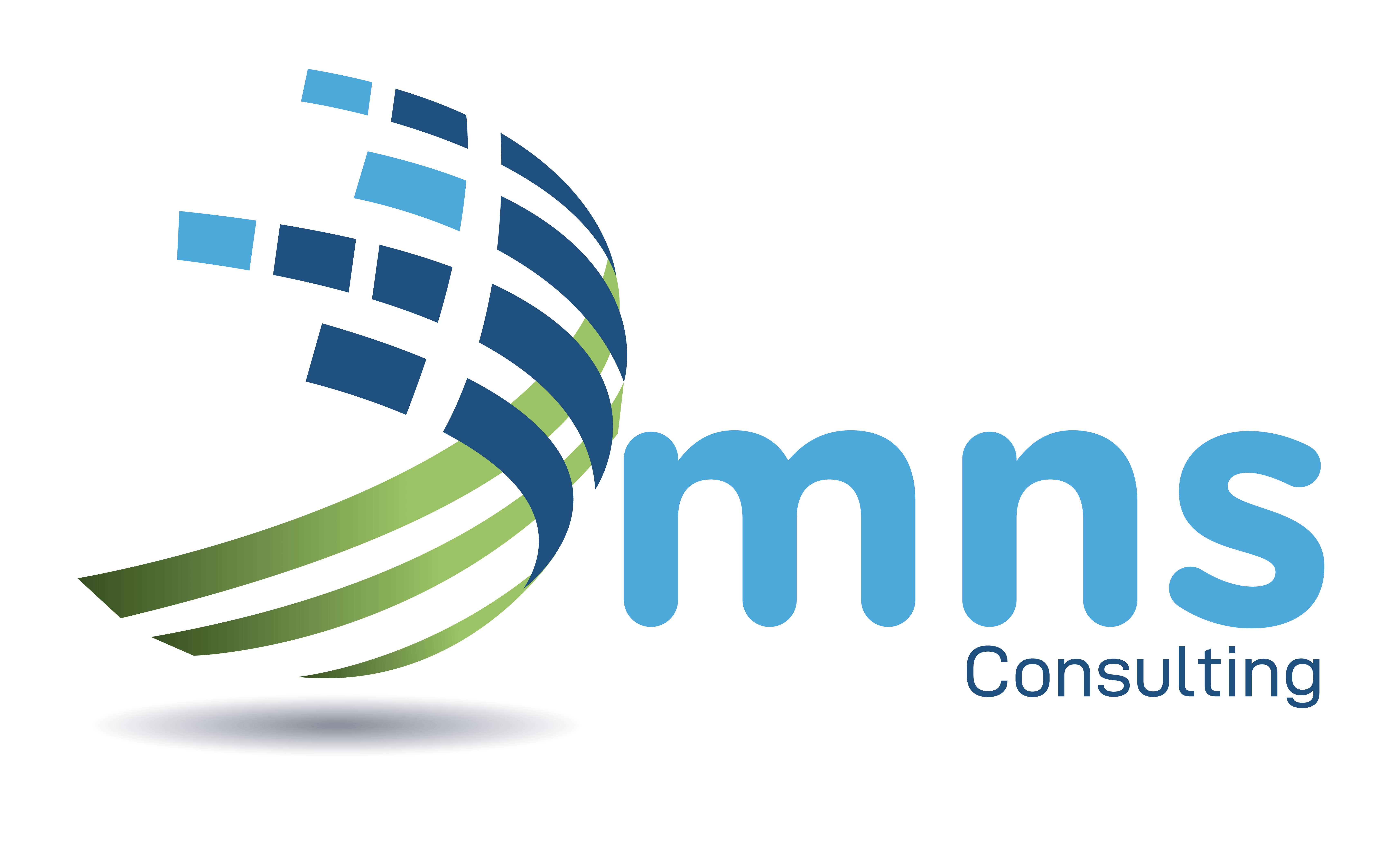 MNS Consulting