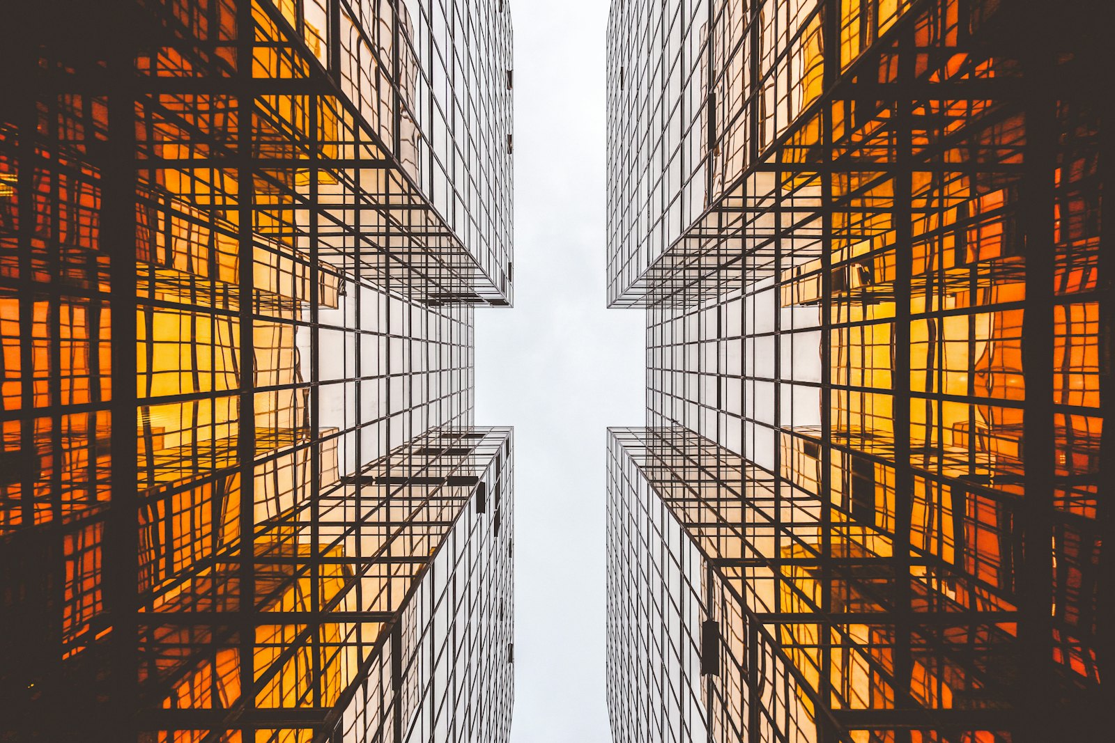 Contact — MNS Consulting